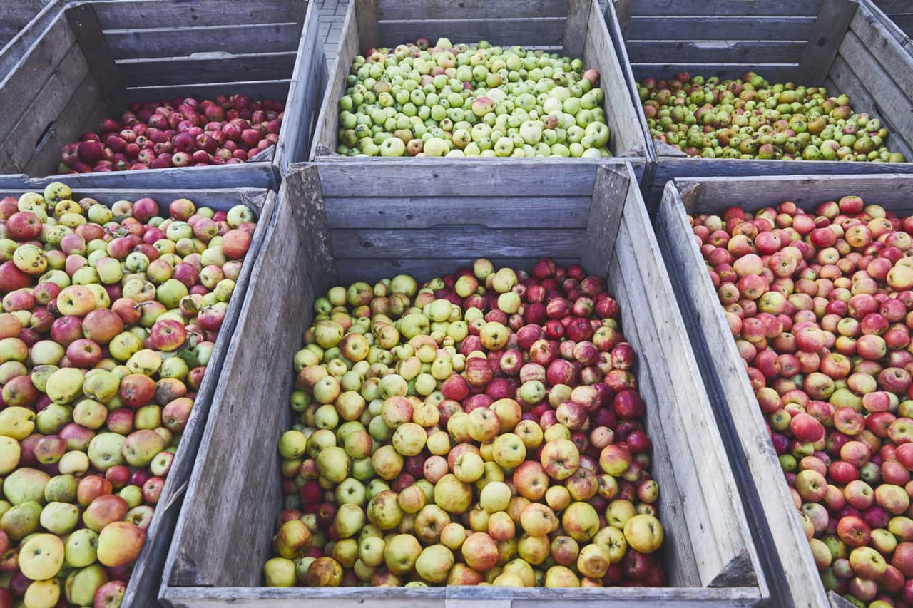 Juice Production as a Main Business: Tips for Beginners