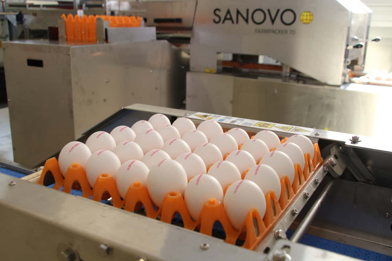 Egg prices continue to rise