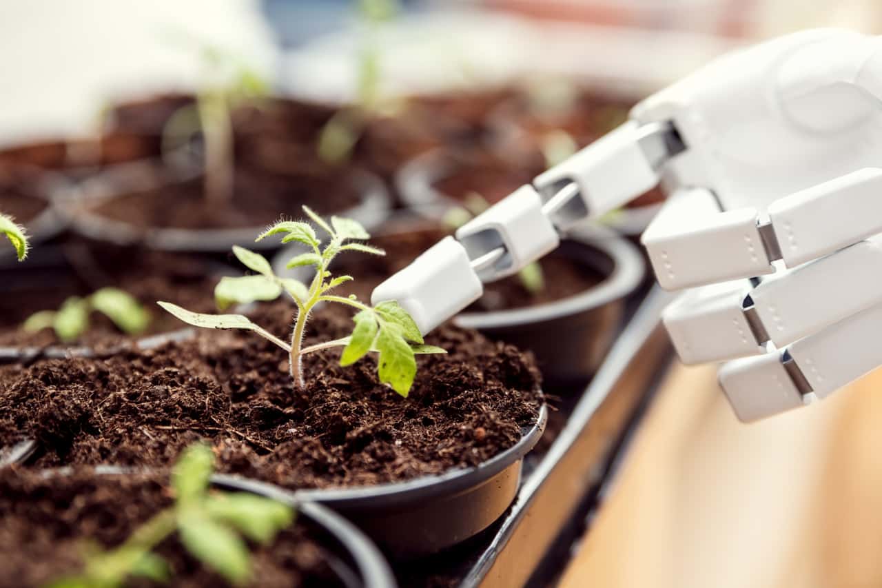 AI in agriculture: Innovations against cost pressure and competition for ...
