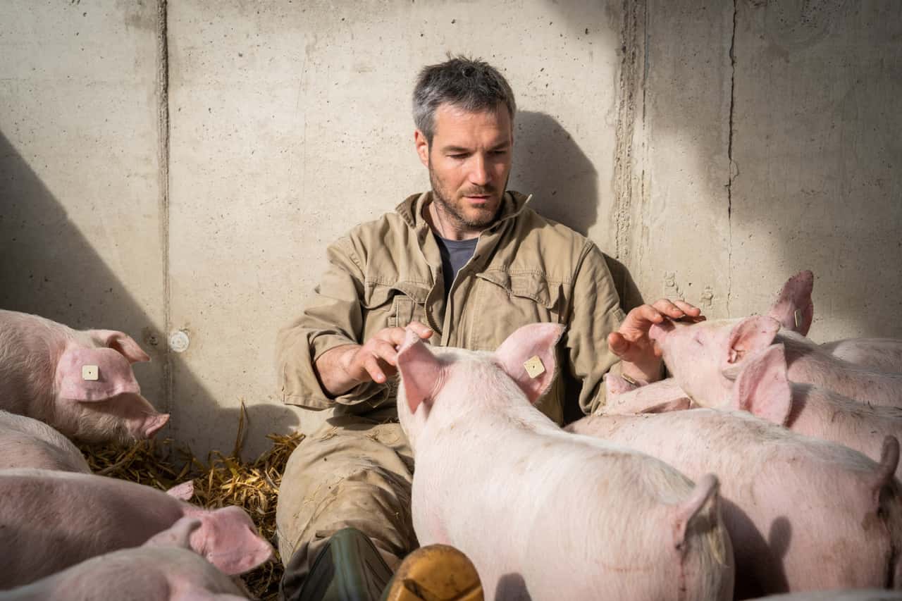 Wie systemrelevant ist die Tierhaltung wirklich?