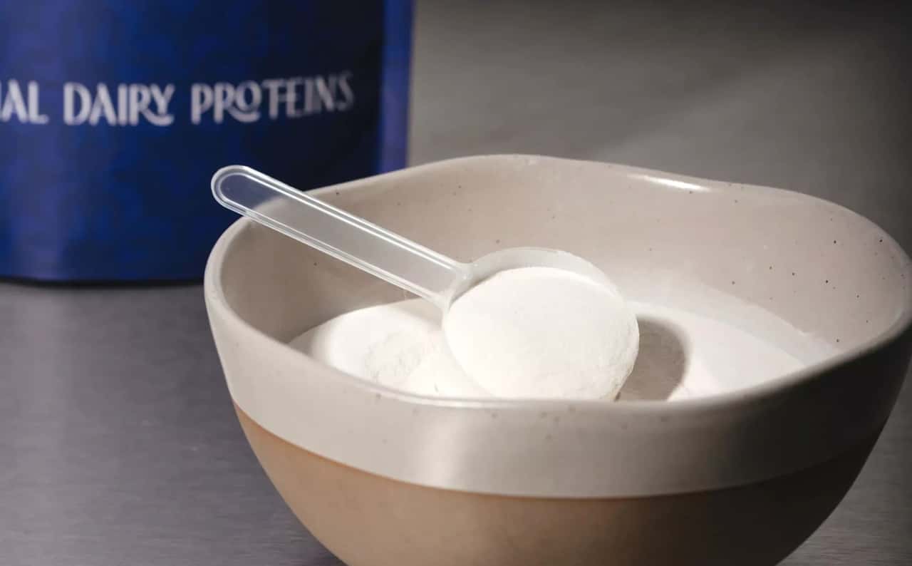 Verley produces milk protein - | entirely without cows