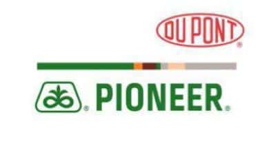 Bundessortenamt lsst acht neue Maissorten von DuPont Pioneer zu | top agrar