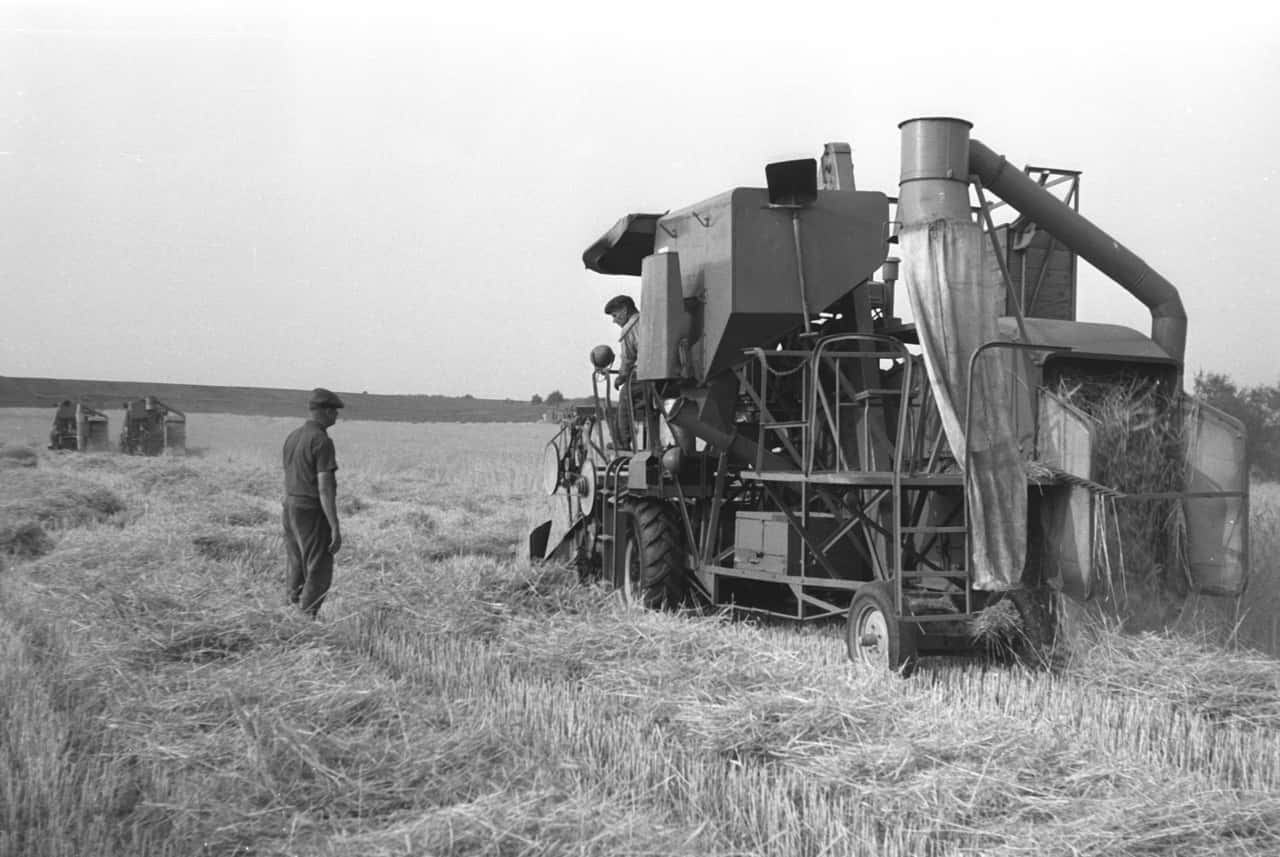 „Billigfleisch und Bio-Bauern“: MDR-Doku über die DDR-Landwirtschaft ...