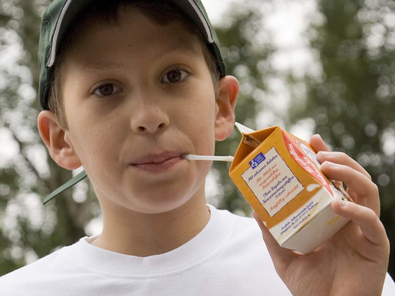 Pflanzendrinks sollen nicht ins EU-Schulmilchprogramm | top agrar Pflanzendrinks sollen nicht ins EU-Schulmilchprogramm | top agrar