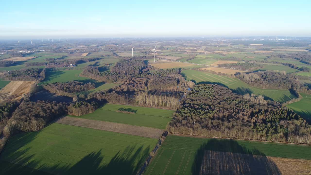 Co2 Pramie Fur Waldbesitzer Beantragen