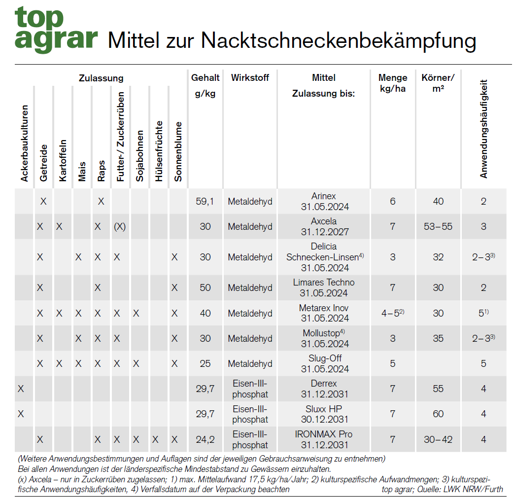 Landwirtschaft Was hilft gegen Schnecken im Raps?