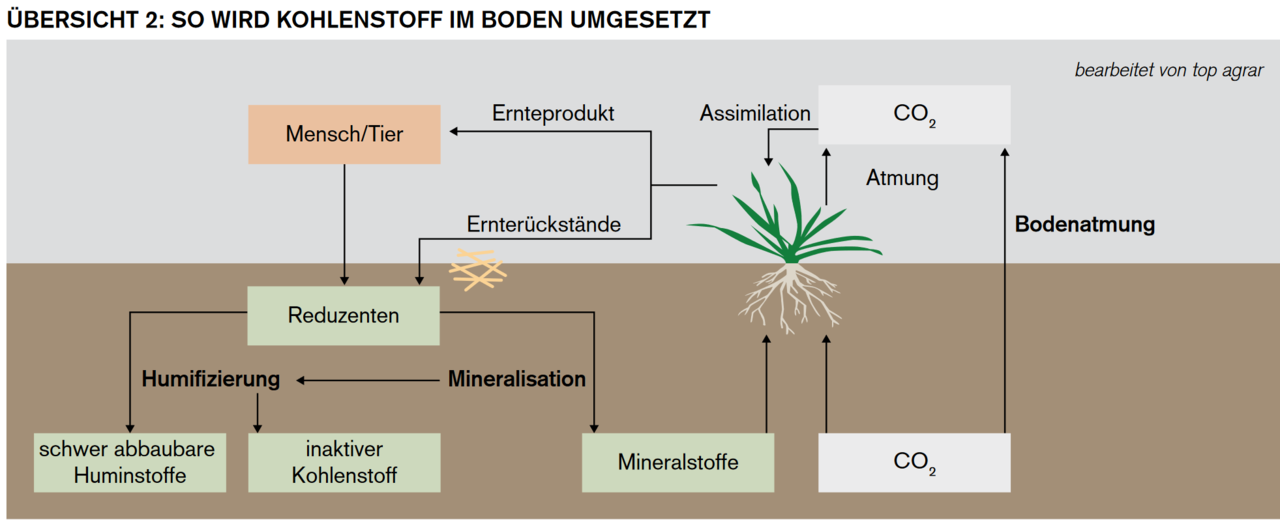 Ratgeber: Alles was Landwirte zum Humus im Boden wissen müssen