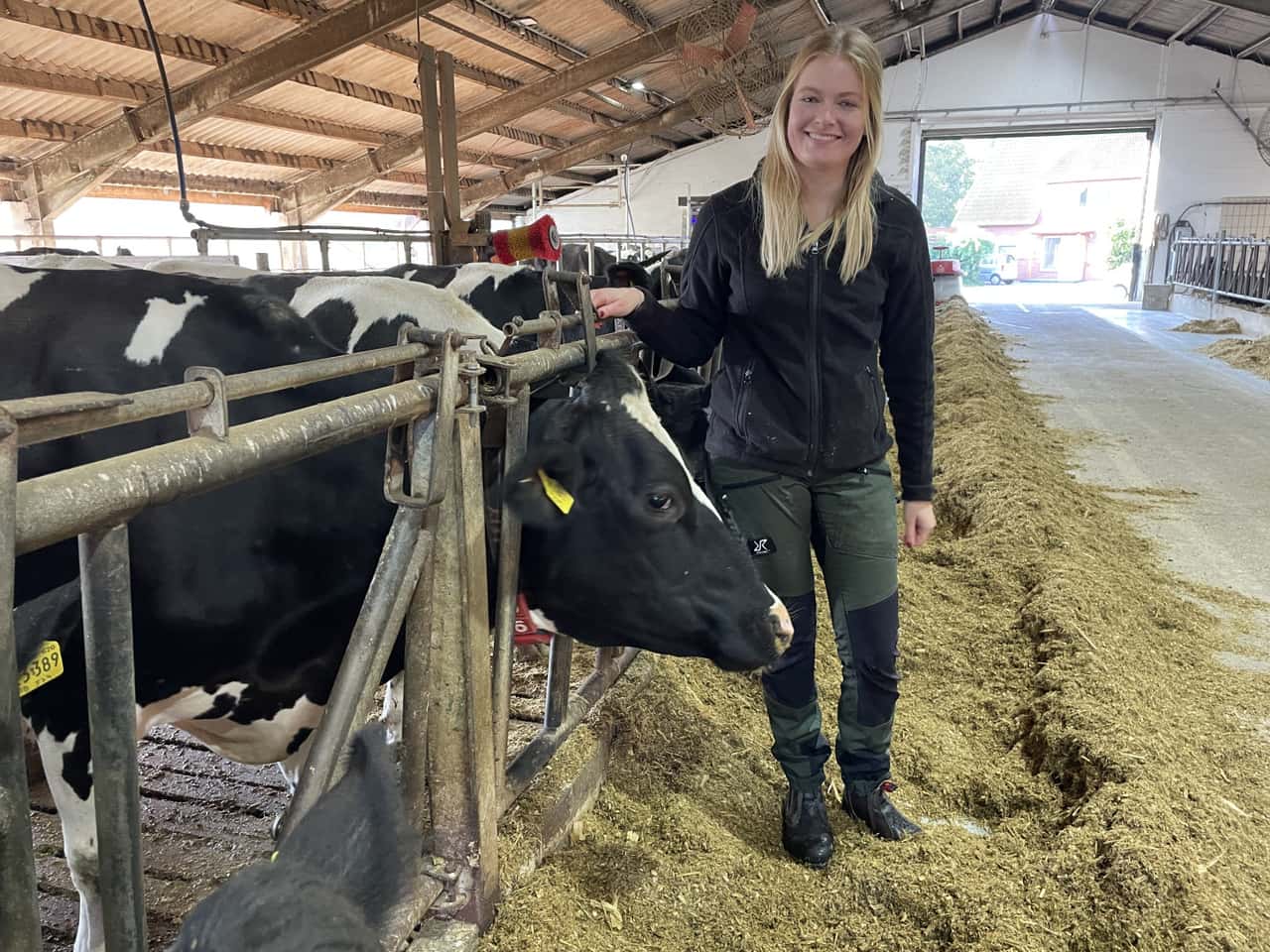 Meister-und-Macher-K-he-mit-Mastitis-fr-h-und-sicher-erkennen