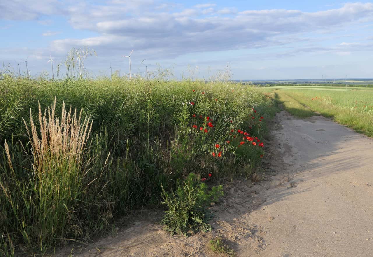 These deadlines are important for farmers in June 2025