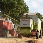Landwirte wehren sich gegen Druck der Pflanzenzchter | top agrar