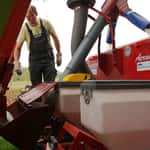 Silizium-Dngung steigert Weizenertrge und Wasserverfgbarkeit | top agrar