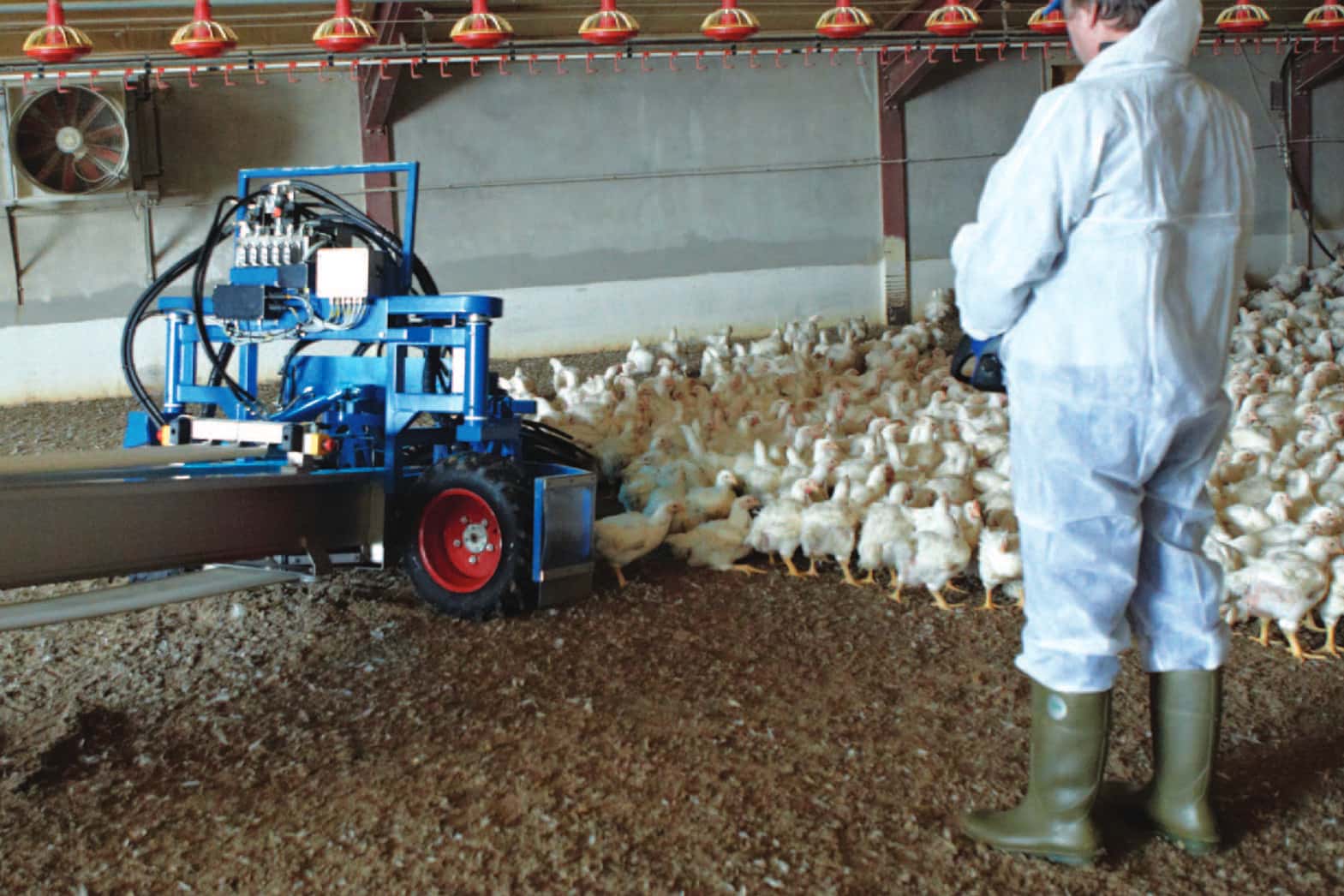 Automatic Poultry Loader Operating in Chicken House
