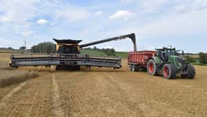 Hier kommen die meistgelesenen Meldungen aus dem Ackerbau