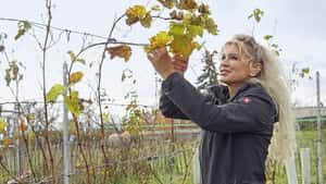 Vom Zahnarztstuhl zur Chefin eines 1.900‑ha-Betriebs: "Hier ist mein Platz"