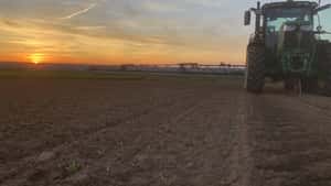 Ausgeklügelte Strategien für saubere Rüben