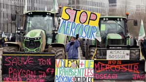 Das Mercosur-Malheur: Wie politische Taktik Landwirtschaft und Handel schadet