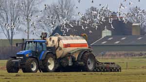 Niederlande: Regierung will Riesensumme gegen Nährstoffüberschüsse einsetzen
