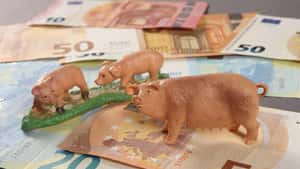 Bundesprogramm Umbau Tierhaltung: Wie viel Geld ist wirklich noch vorhanden?