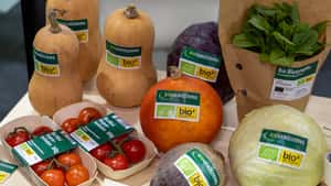 BÖLW-Vorstand Röhrig: „Der Markt für Bioprodukte ist da“