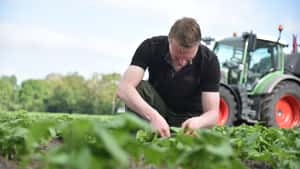 BUND und Pflanzenschutz-Firmen liefern sich Schlagabtausch