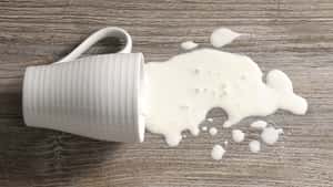 Das liegt nach Rainers Milchgipfel auf dem Tisch