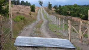 ASP: Neuer Fund in NRW trifft auch Hessen