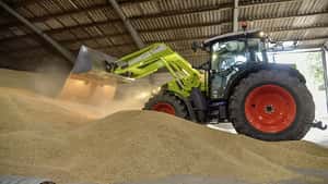 Aktueller Getreidemarkt: Großes Angebot drückt, Frost und Exporte stützen