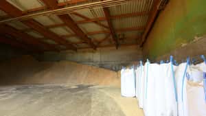 Kalter Winter leert Lager und hält Preise für Holzpellets hoch