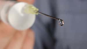 Antibiotikaeinsatz 2025: BVL meldet Anstieg bei Ferkeln und Mastgeflügel