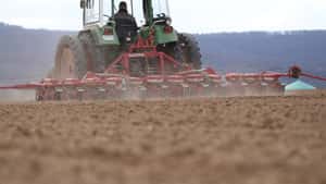 Buteo Start ab jetzt ohne Drainauflage