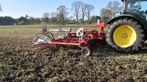 Strategien gegen Disteln im Ökolandbau