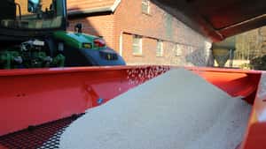 Teurer Dünger und Rapskurse unter Druck: Wie Sie nun handeln sollten