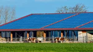 So wirkt die 60-Prozent-Abregelung auf Ihren PV-Ertrag