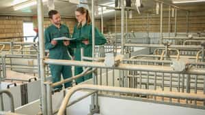 So motiviert die Van Asten Group ihre Mitarbeiter im Schweinestall