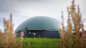 Warum kleine Biogasanlagen durchs Raster fallen