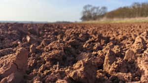 Volksbegehren für den Schutz von Boden vor Investoren geplant