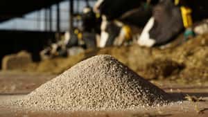 Iran-Konflikt: Futterhersteller lehnen Markteingriffe ab