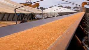 Australien fährt zweitgrößte Ernte der Geschichte ein