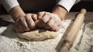 „FutureWheat“ erforscht, wie klimafreundliches Qualitätsgetreide geht