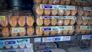 US-Eiermarkt macht 180 Grad-Wende - Vom Mangel ins Überangebot