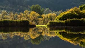 Umweltbundesamt erklärt kleine stehende Gewässer zum Gewässertyp des Jahres 2026