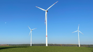 Klimaschutzprogramm 2026: Mehr Windenergie und Geld für Moore und Wälder