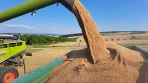 Rekordpreise für Dünger und Diesel dämpfen Ernteprognose