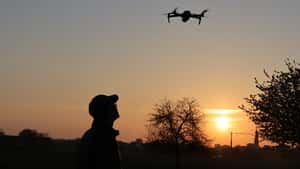 Pflanzengesundheit: 16-Jähriger entwickelt kostenloses KI-Tool für Landwirte