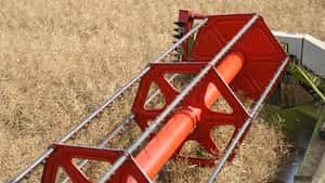 Raps und Soja folgen den steigenden Rohölkursen