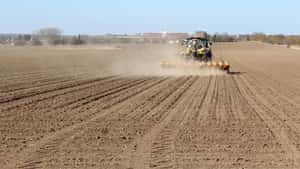 Rübenaussaat: Wie weit sind Sie?