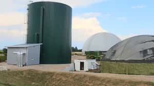 Biogas statt Gaskraftwerke: Branche fordert Kurswechsel der Politik