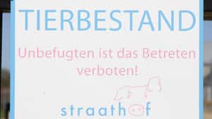 Gerichtsstreit: Straathof-Stall droht der Abriss
