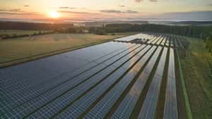 Baywa-Energietochter: Drei Aufsichtsräte treten zurück