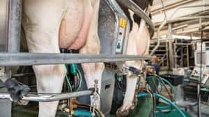 Lieferverträge: Vertragspflicht nimmt nächste Hürde